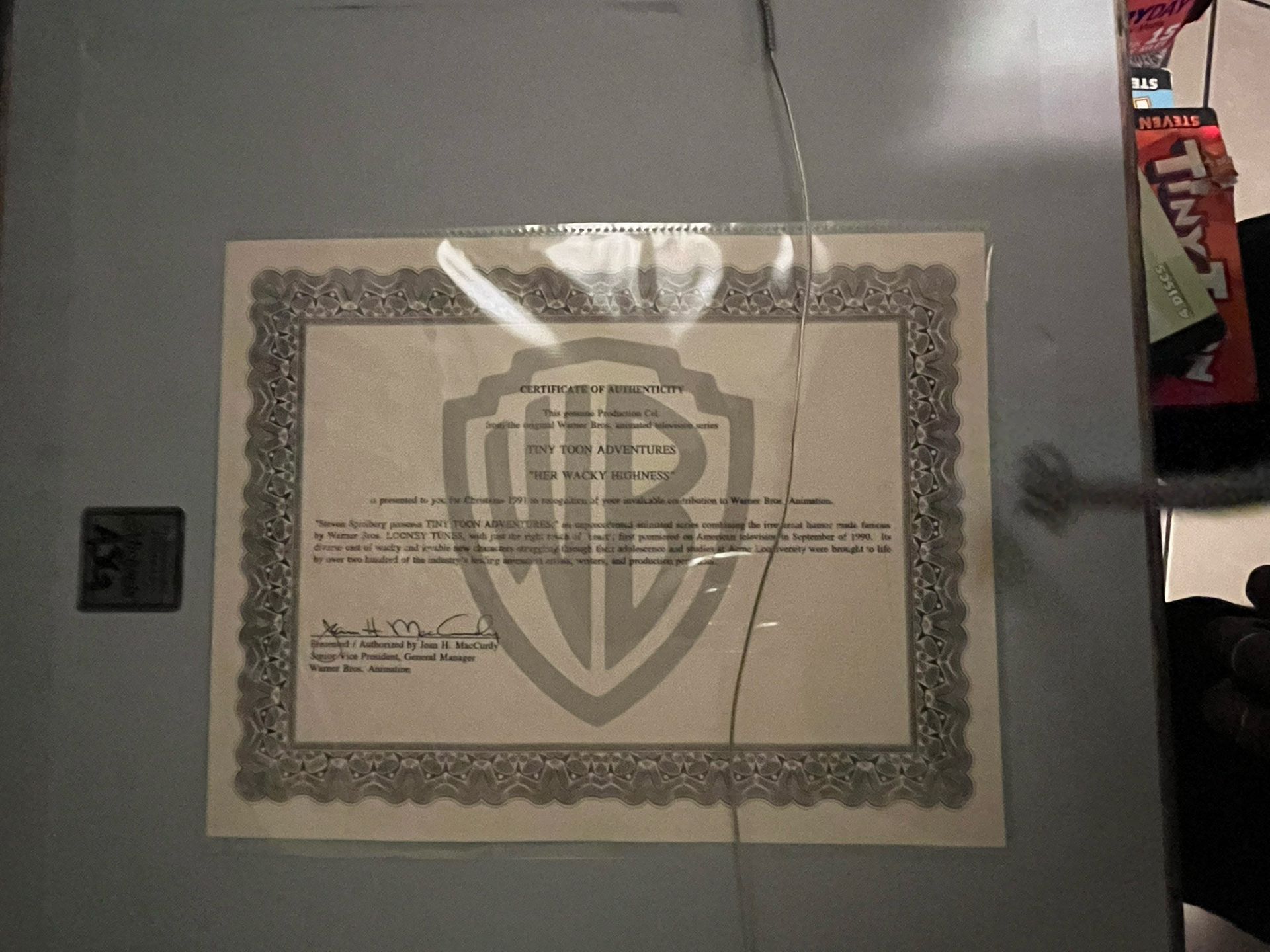 Tiny Toon Adventures Certificate of Authenticity"
