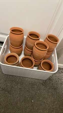 Cantaritos
