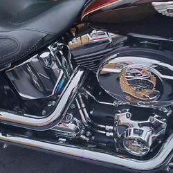 2015 Harley Division  Soft Tail