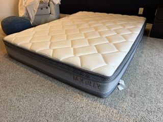 Molblly Queen Mattress – Clean & Comfortable