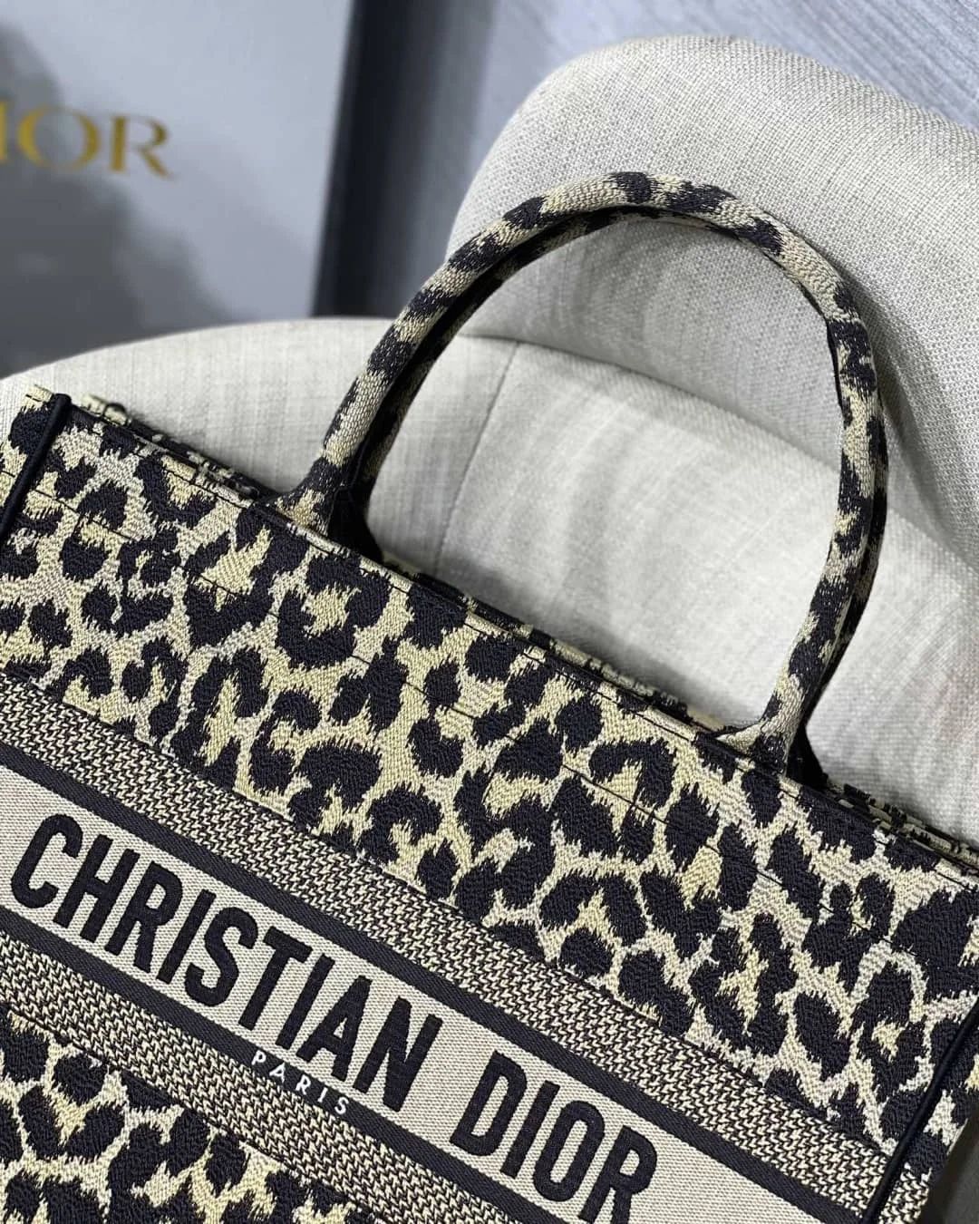 Christian Dior Tote Bag