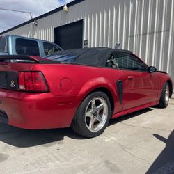 Mustang Ford SVT