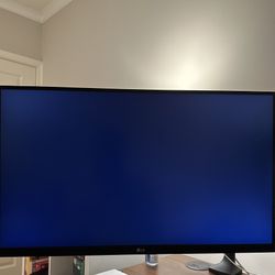 LG 4K Monitor