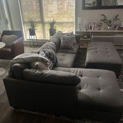 Couch With Chase