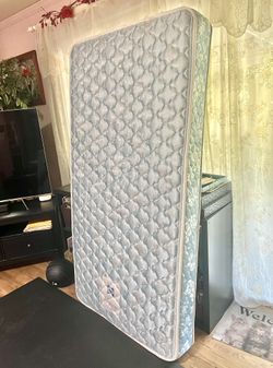 Sealy Princeton III Plush Twin Mattress