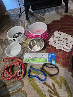 Dog items