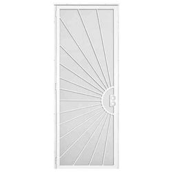 36 in x 96 in. Security Door