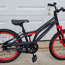 Bicycle boys 20". Giant