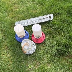 Chicken Water Jugs Lot