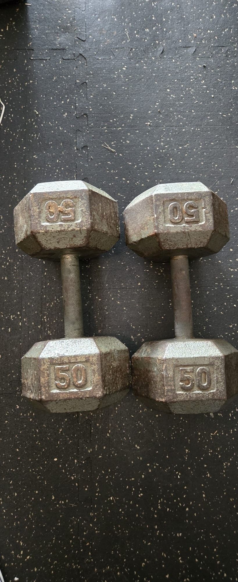 50 Lb Dumbbells