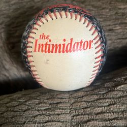 Dale Earnhardt The Intimidator Baseball