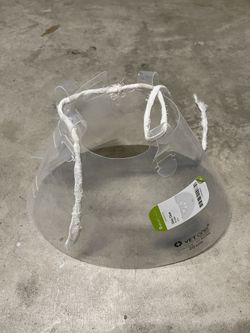 Spay / Neuter Cone