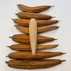 Luffa/loofah Seeds
