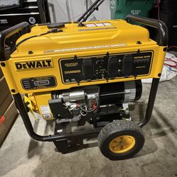 Dewalt DXGNR8000 Generator