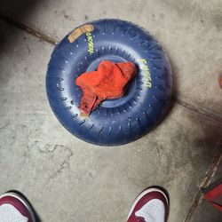 1991 Mustang  5.0 Turque Converter 