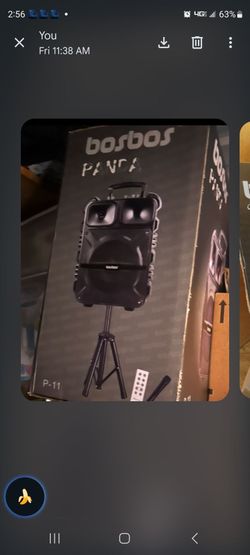 Bosbos Panda P-11 Portable Party Speaker