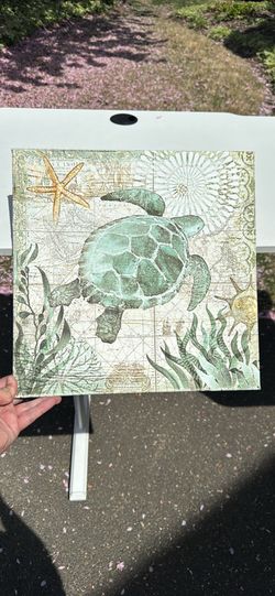 Turtle Wall Art