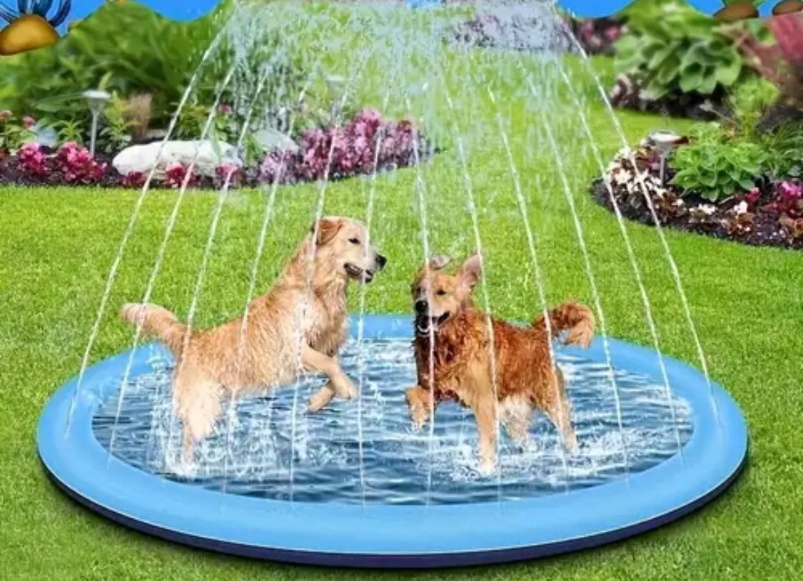 Dog Sprinkler Pool