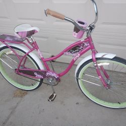 26' Beach Cruiser