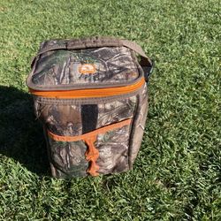 Igloo Bag Cooler
