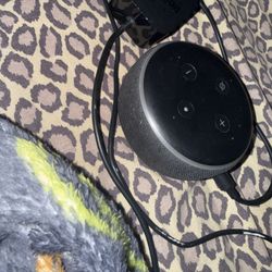 amazon alexa