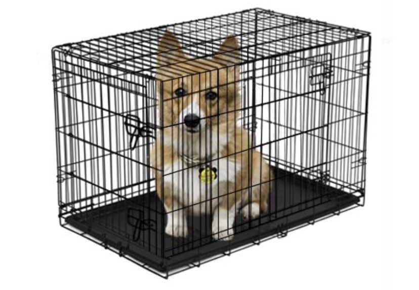 Vibrant Life Double-Door Folding Dog Crate with Divider, 30"