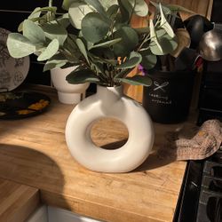 Fake Circle Plant