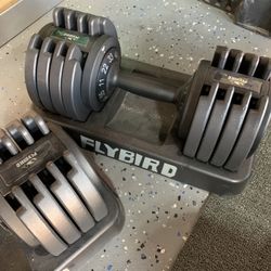 2-55lbs (adjustable Dumbbells)