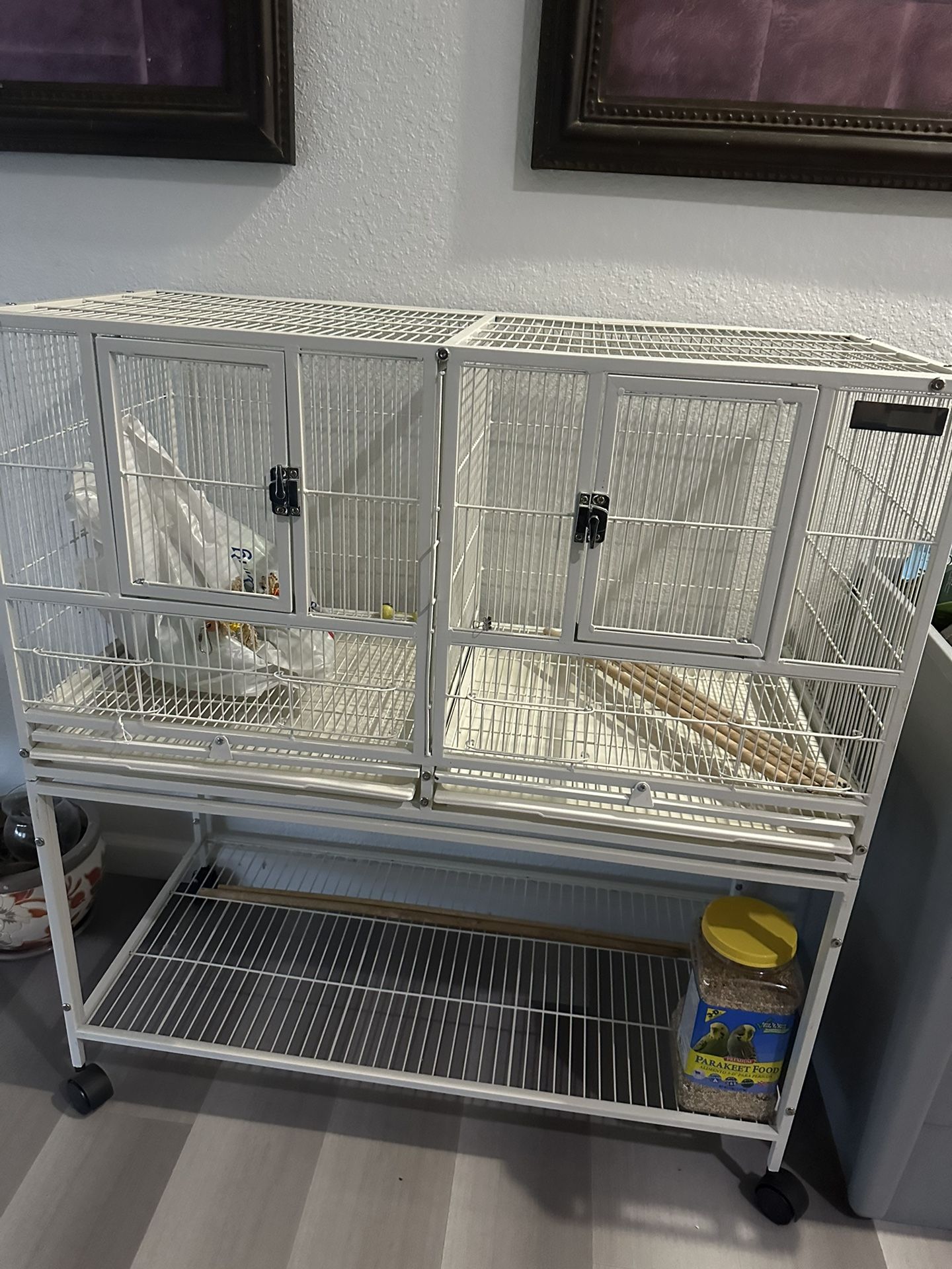 Bird Cage