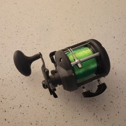 Offshore Angler Reel