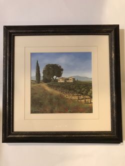 Two professionally framed art prints.