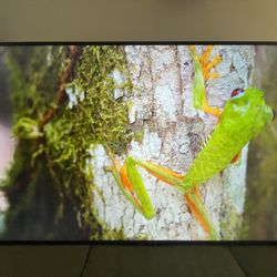 65” Sony Tv 4K UHD HDR