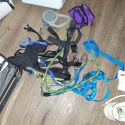 Dog Leashes And Small Harness 