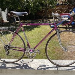 Schwinn superior online for sale
