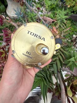 Shimano Torsa 16