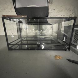 60gal Lizard Tank 