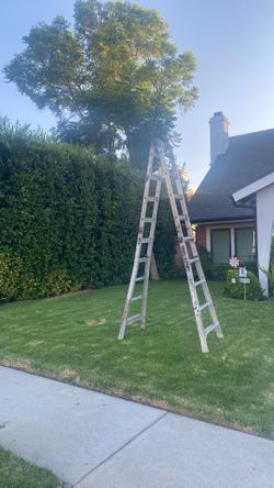 Multipurpose ladder