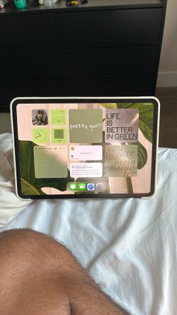 iPad Pro 11 Inch M4 256GB WiFi Only