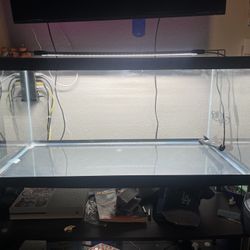 40 Gallon Fish tank