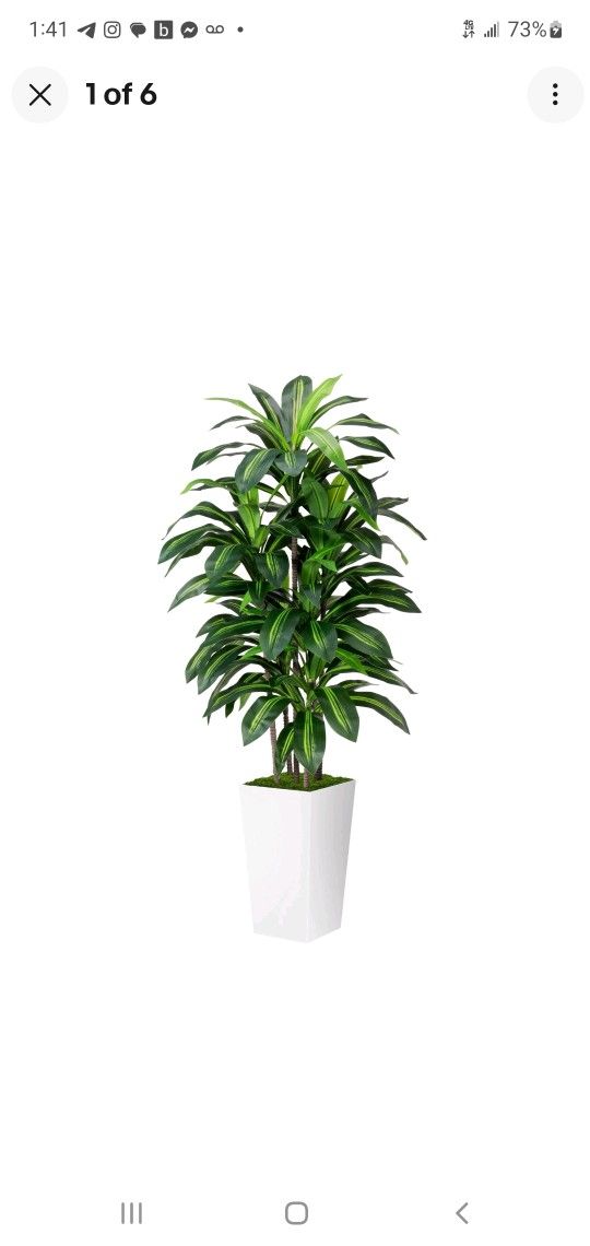 🌿 Brand New 5ft Artificial Dracaena Plant in Modern White Pot – Realistic & Maintenance-Free
