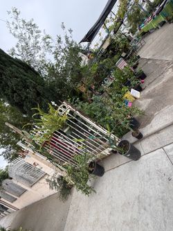 Yard sale