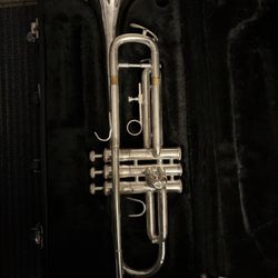 Off Brand Cecilia Trumpet