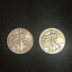 Two Silver Eagles 