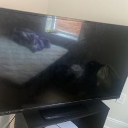 50 Inch TV Vizio 