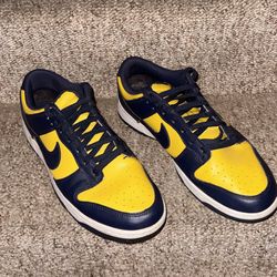 Michigan Dunks 