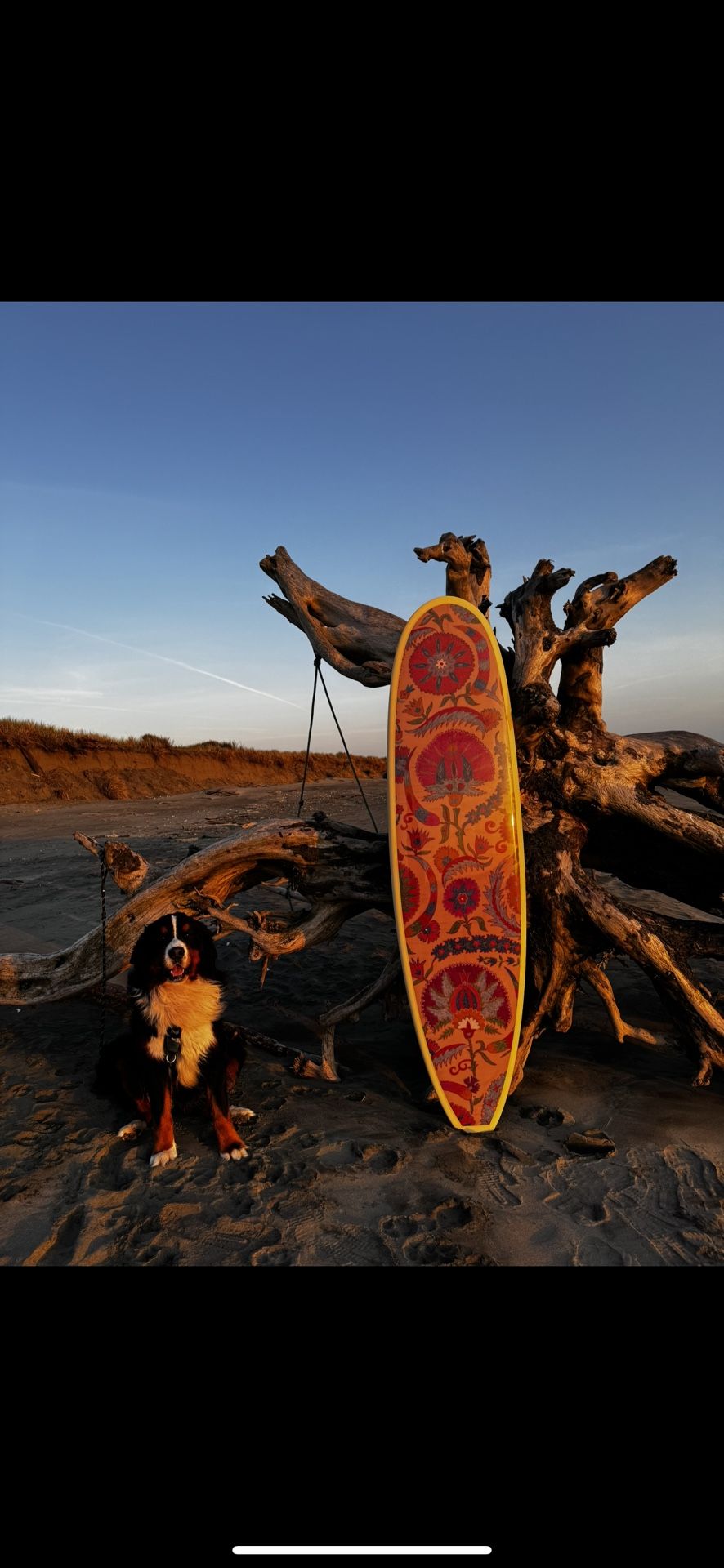 Surfboard