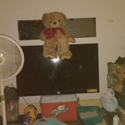 Sayno Flat Screen T.V