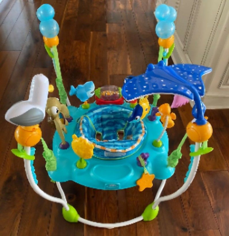 Disney Baby Jumper Bouncer