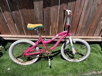 Bike 20”