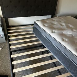 Queen Size Bed Frame And New Mattress